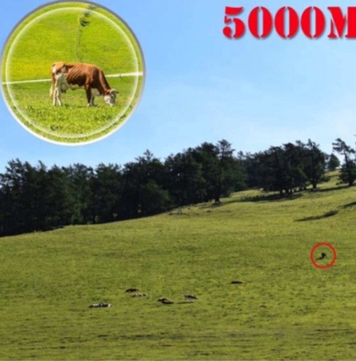 5000M Monoculaire Telescoop 12x50 Professioneel Draagbaar