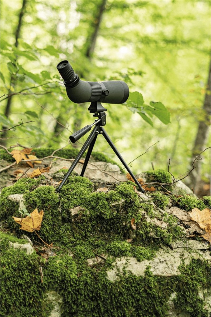 Dörr Kauz Travel & Co Spotting Scope 12-36x60 mm