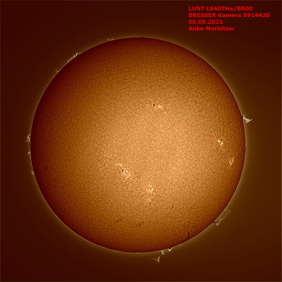 Lunt LS40THa/B500 40mm H-Alpha Telescoop