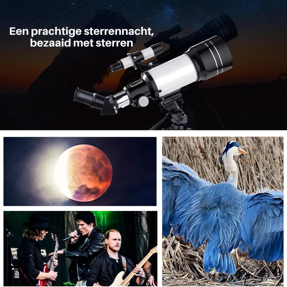 Conclusie