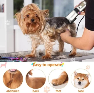 Equivera Hondentondeuse - Hondentrimmer - Tondeuse voor Dikke Vacht - Dieren Tondeuse - Scheerapparaat voor Dieren - Tondeuse voor Honden en Katten