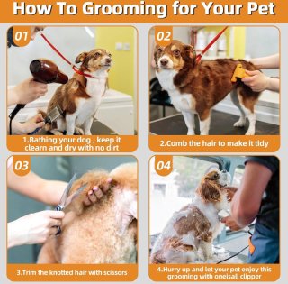 Wat vinden we goed aan de Equivera Hondentondeuse