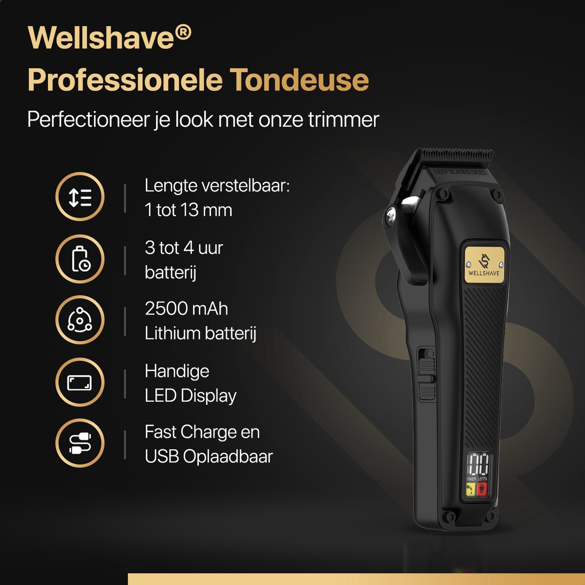 Wat vinden we goed aan de Wellshave Elegant Tondeuse voor Mannen