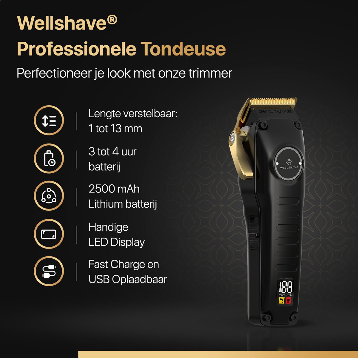Wat vinden we goed aan de Wellshave Pro Tondeuse Mannen