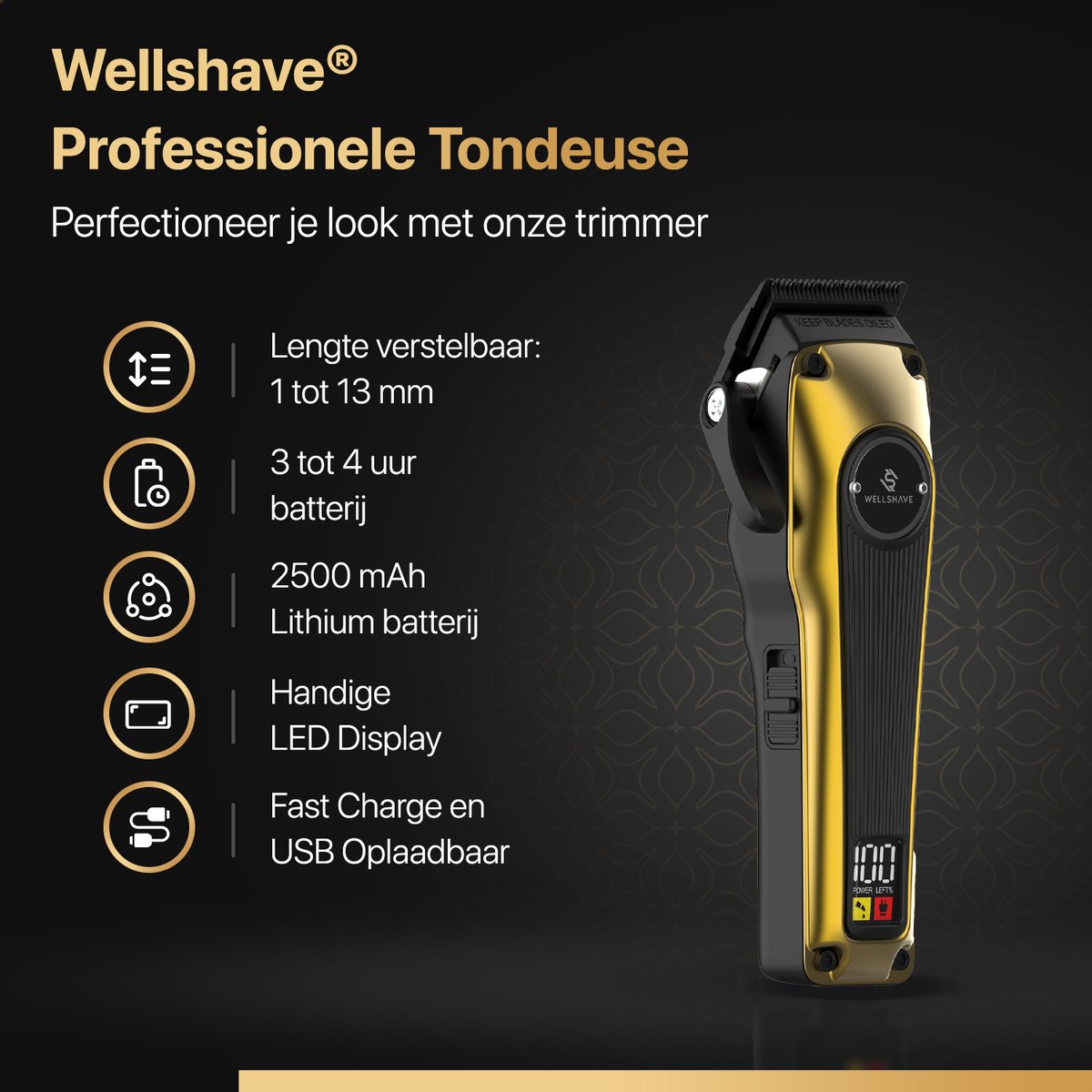 Wat vinden we goed aan de Wellshave Tondeuse Mannen Deluxe