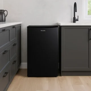 Salora FREEZER48BL - Vriezer - Vriezer tafelmodel - Diepvries - 60 Liter - Zwart