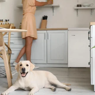 Wat vinden we minder goed