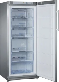 Beko RFNE290T45XPN Vriezer Inox
