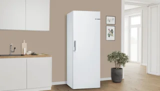 Bosch Serie 6 GSN51AWCV Vriezer Wit