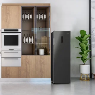 CHiQ CSD206NEID Vrijstaande Vriezer 206L Zwart RVS