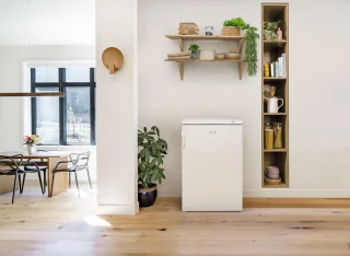 Gorenje F49CPW vriezer