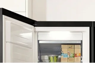 Gorenje FN 619 DABK6 Vrieskast Vrijstaand 280L