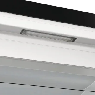 Gorenje FN 619 DABK6 Vrieskast Vrijstaand 280L