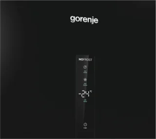 Gorenje FN 619 DABK6 Vrieskast Vrijstaand 280L