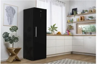 Gorenje FN 619 DABK6 Vrieskast Vrijstaand 280L
