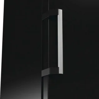 Gorenje FN 619 DABK6 Vrieskast Vrijstaand 280L