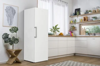 Gorenje FN619EEW5 diepvriezer 280L wit vrijstaand