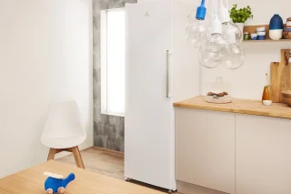 Indesit UI6 F1T W1 Vriezer Wit 222L 167x60 cm