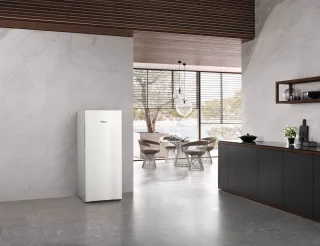 Miele FN 4322 D-1 Kastmodel Vriezer Wit