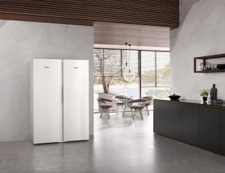 Miele FNS 4382 D Kastmodel Vriezer Wit