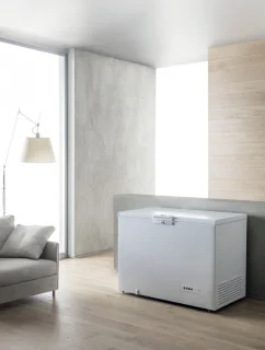 Whirlpool WHM39112 vrieskist